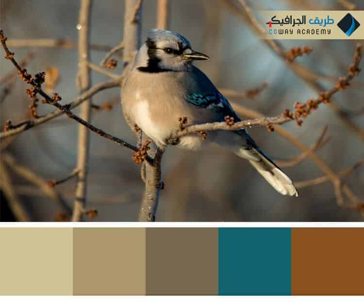 فن اختيار الألوان في الديكور الداخلي و 10 حالات لونية للتصميم الداخلي 4 فن اختيار الألوان في الديكور الداخلي – Colors in interior decoration وكيف تؤثر اختيار الألوان علي ألوان ديكور المنزل على الإنسان