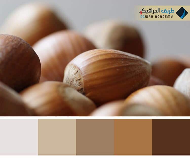 فن اختيار الألوان في الديكور الداخلي و 10 حالات لونية للتصميم الداخلي 5 فن اختيار الألوان في الديكور الداخلي – Colors in interior decoration وكيف تؤثر اختيار الألوان علي ألوان ديكور المنزل على الإنسان