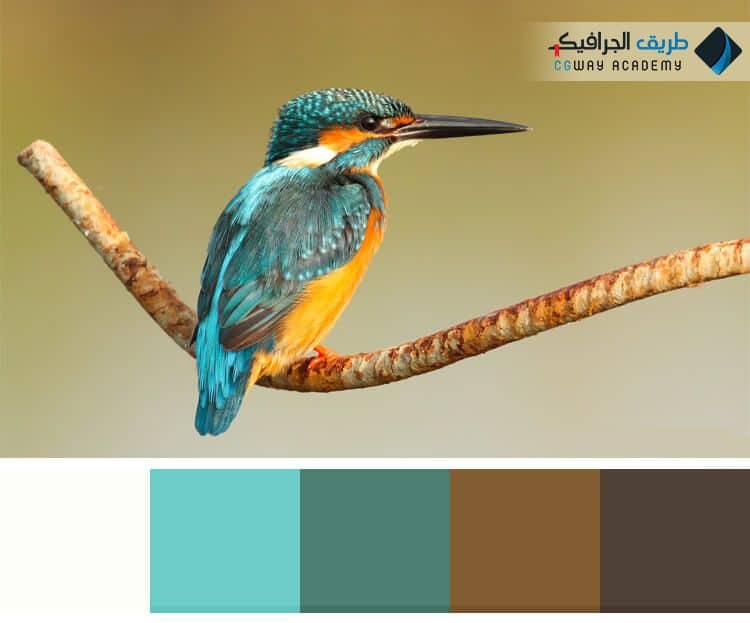 فن اختيار الألوان في الديكور الداخلي و 10 حالات لونية للتصميم الداخلي 7 فن اختيار الألوان في الديكور الداخلي – Colors in interior decoration وكيف تؤثر اختيار الألوان علي ألوان ديكور المنزل على الإنسان