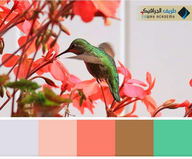 فن اختيار الألوان في الديكور الداخلي و 10 حالات لونية للتصميم الداخلي 12 فن اختيار الألوان في الديكور الداخلي – Colors in interior decoration وكيف تؤثر اختيار الألوان علي ألوان ديكور المنزل على الإنسان